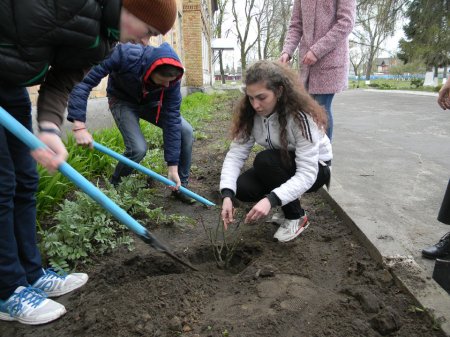 Екологія нашого міста: його чистота залежить від кожного з нас